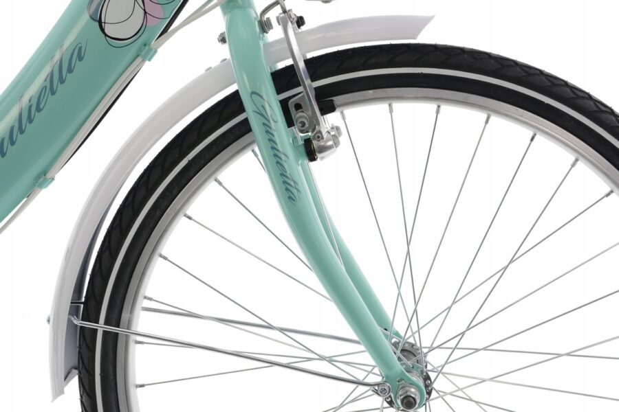 Roată bicicletă turcoaz cu apărătoare albă.