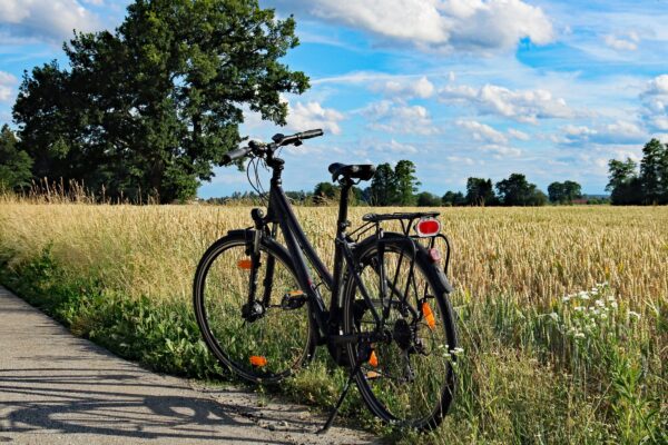 Biciclete de trekking