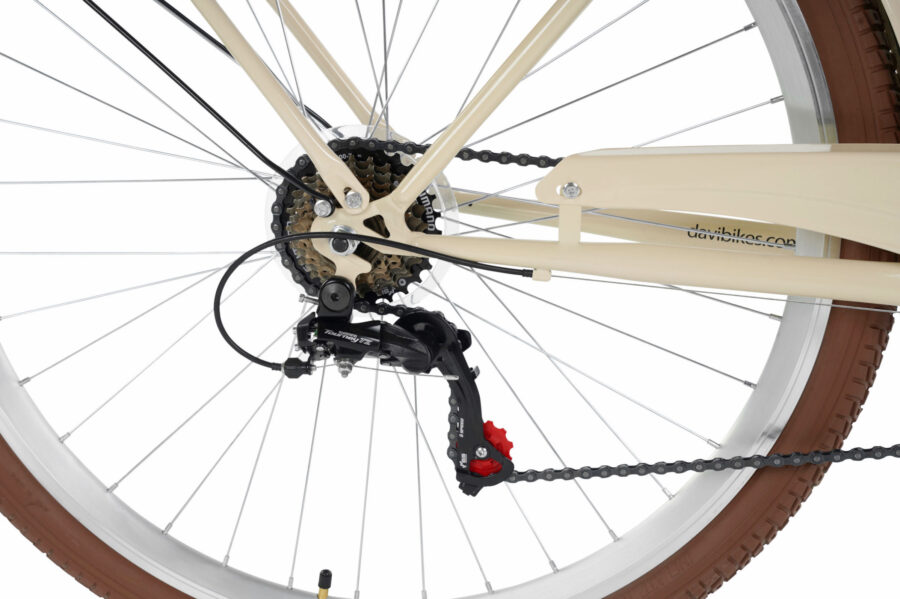 Detaliu transmisie bicicletă, schimbător spate.