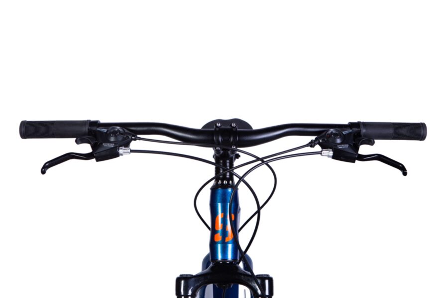 M handlebar and brake levers of a bicycle