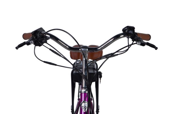 Ghidon bicicletă cu șa maro și frâne