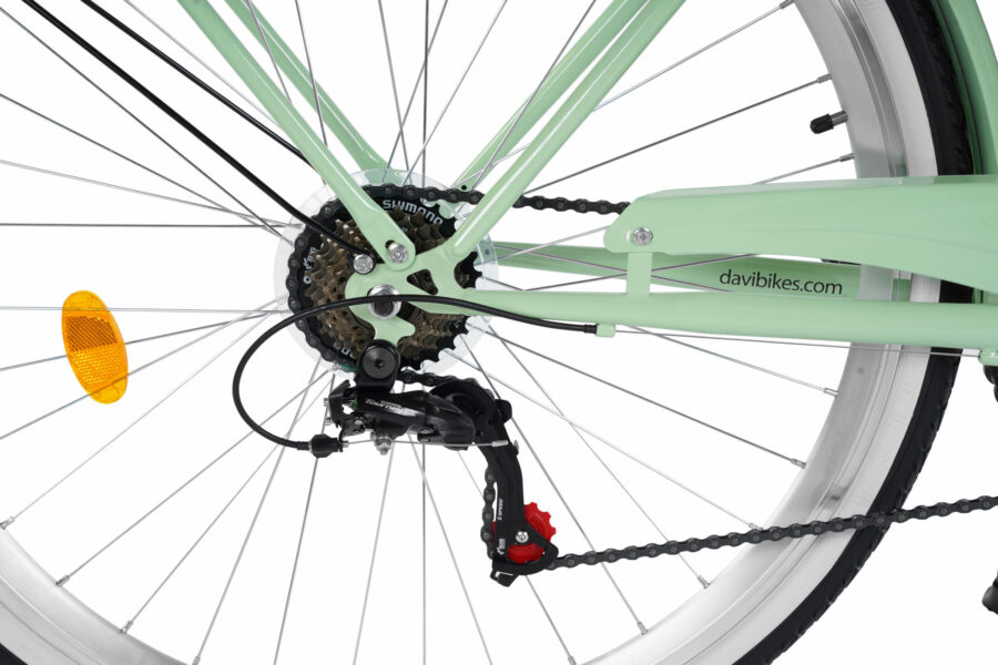 Detaliu peisaj lanț bicicletă verde mint