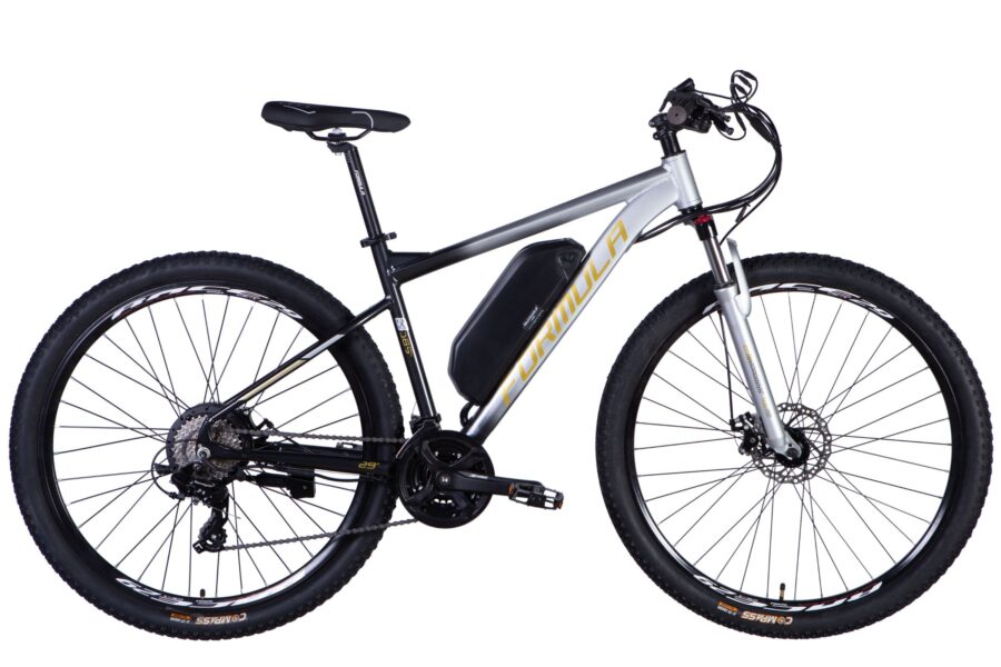 Bicicleta electrică sport de teren cu cadru argintiu