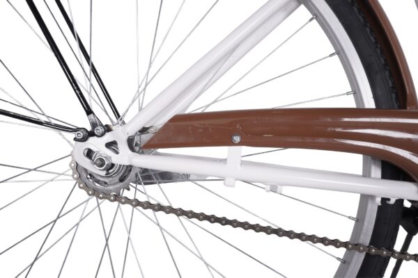 Detaliu lanț bicicletă cu aripi maronii.