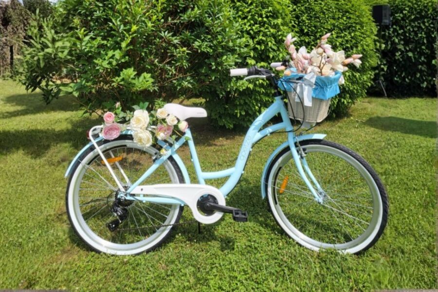 Bicicletă albastră cu flori în coș, în grădină.