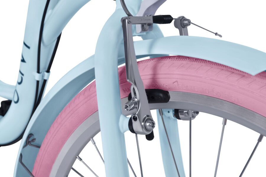 Detaliu roată de bicicletă cu frână