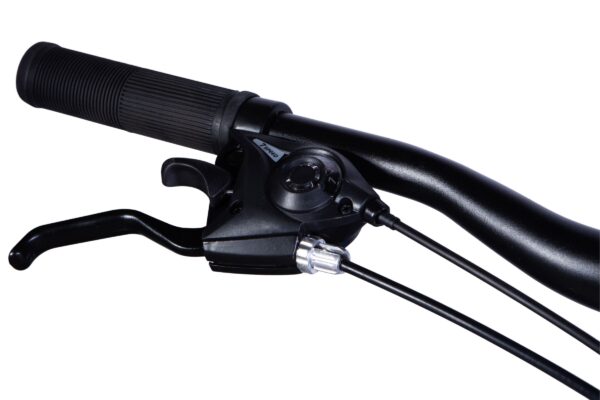 bicicleta copii mars 24