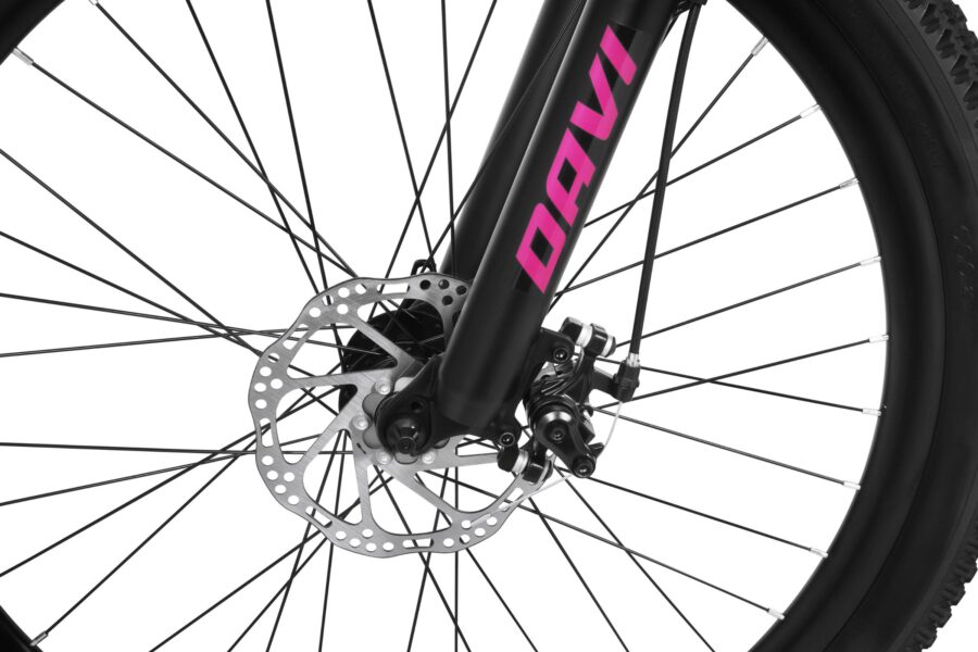 Roata bicicletei cu frână pe disc