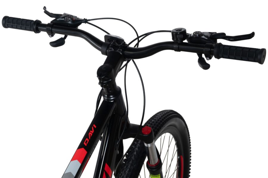 bicicleta mtb davi terrano 29