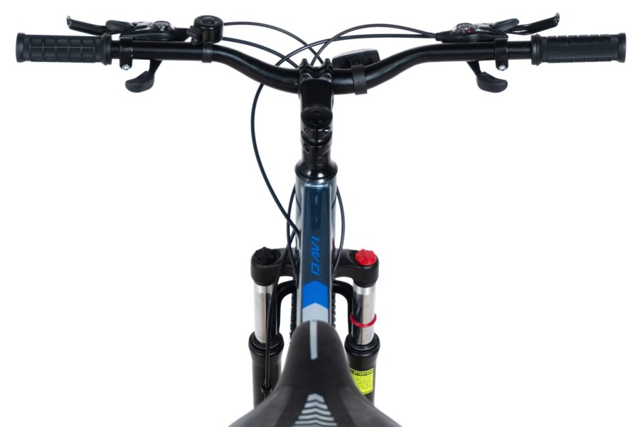 bicicleta mtb davi terrano 29