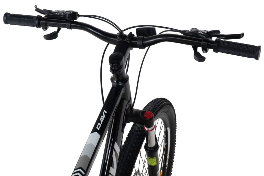 bicicleta mtb davi terrano 29